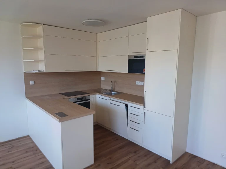 Kompletní rekonstrukce a změna dispozic bytu Praha 4